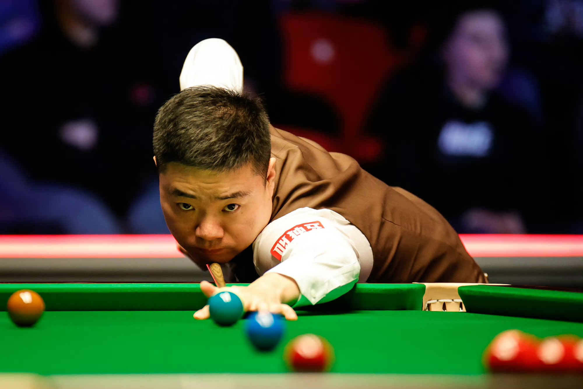 让它在搜索 让它在搜索